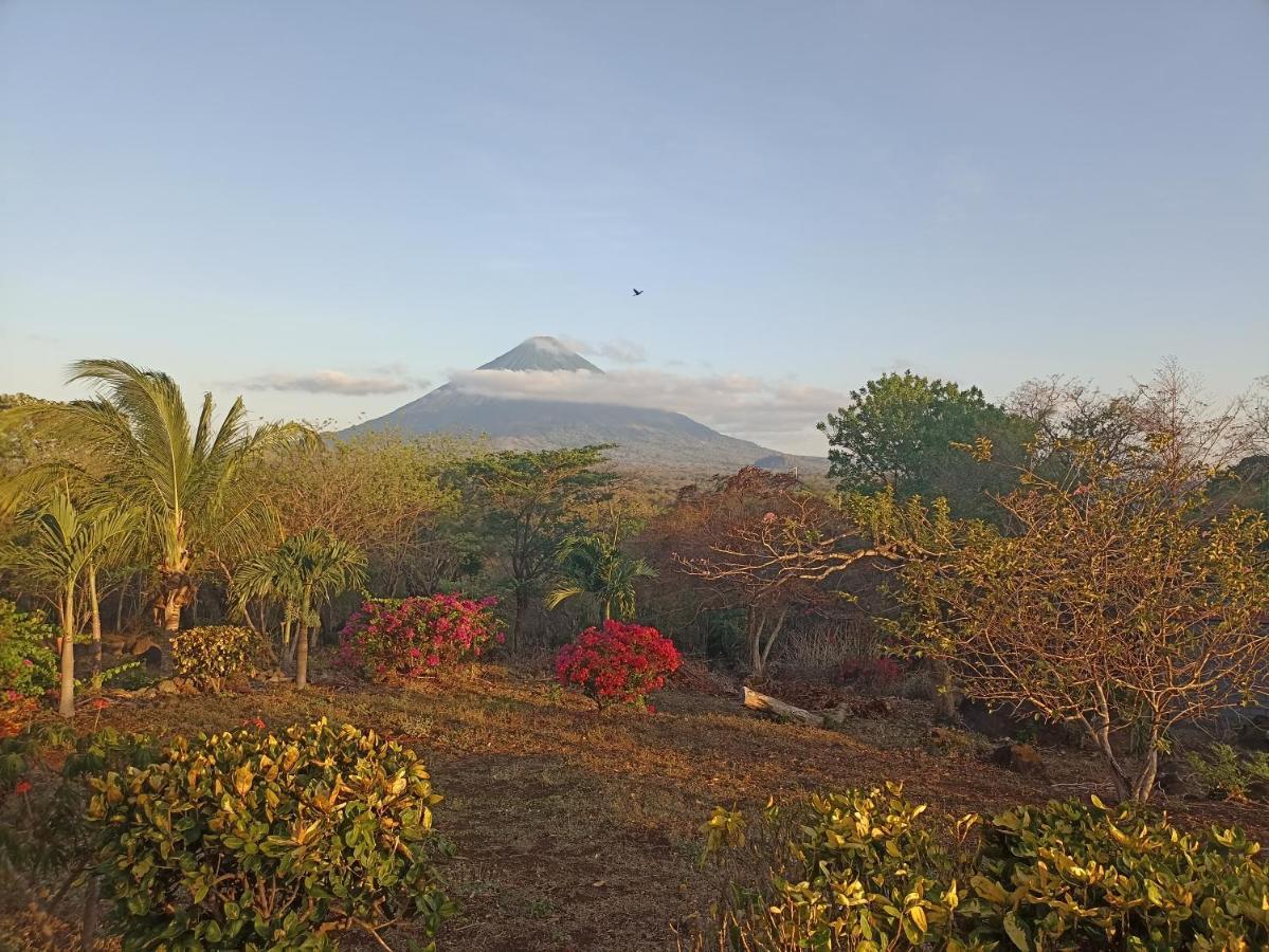 Hostel Santa Cruz Ometepe Altagracia Eksteriør billede