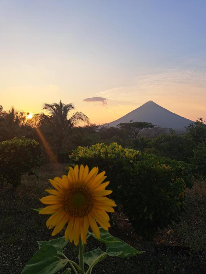 Hostel Santa Cruz Ometepe Altagracia Eksteriør billede